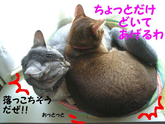 d0081025_2141033.jpg