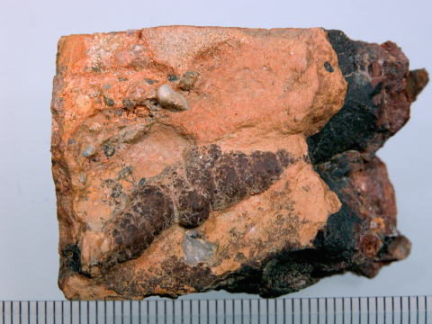 d0045626_1754210.jpg