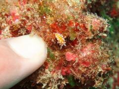 b0100730_20552781.jpg