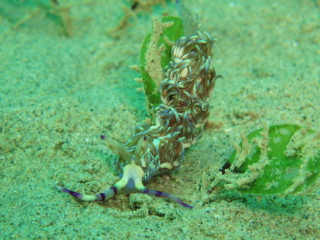 b0100730_23383675.jpg