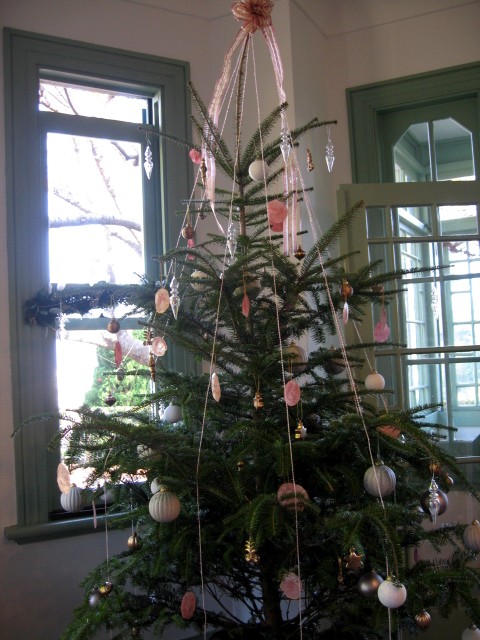 b0009849_1756491.jpg