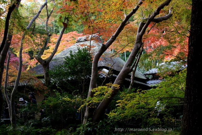 第七回路地裏探検隊　～祇王寺～_f0019849_23593747.jpg