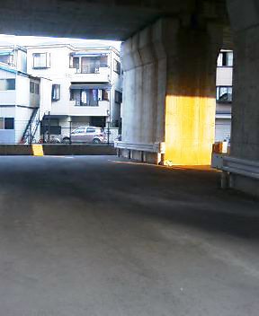 d0083265_17265125.jpg