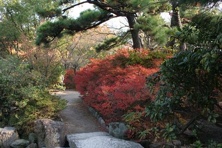 鶴舞公園の紅葉（２）_d0064990_2051588.jpg