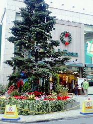 f0100194_78219.jpg