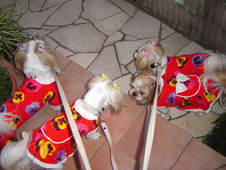 c0011204_2343669.jpg