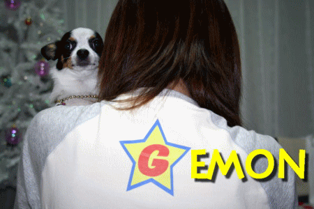 e0032508_054241.gif