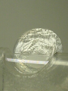 e0016709_19422.jpg