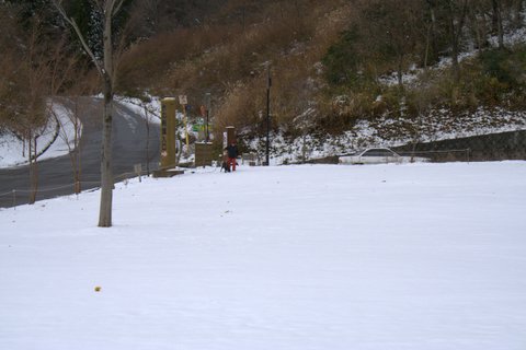 a0090313_1655223.jpg