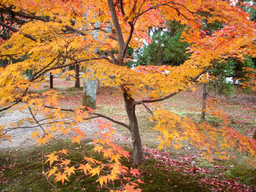 天龍寺--松厳寺_e0048413_2103612.jpg