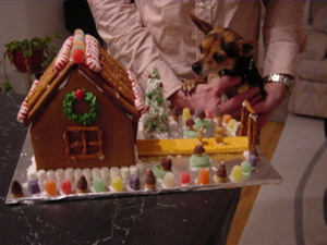 Gingerbread House Village_f0102814_1625167.jpg