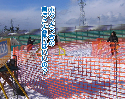 a0044521_20837.jpg
