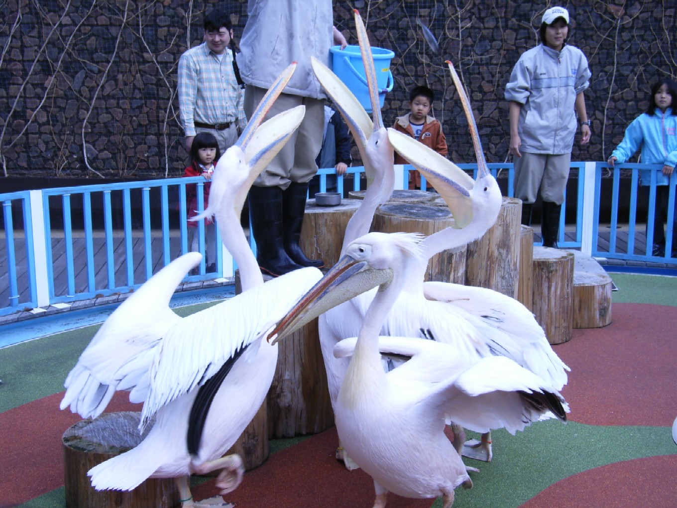 サンシャイン水族館_d0091021_22562234.jpg