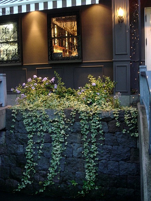 c0003723_17242728.jpg