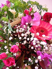 e0090926_9232510.jpg