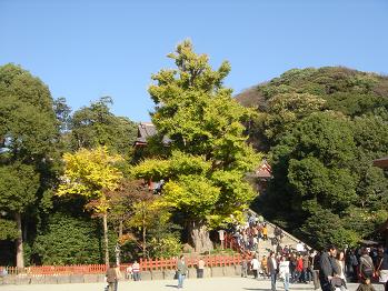 f0045530_25886.jpg