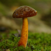 f0108133_10285980.jpg