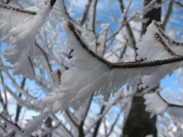 荒船山（経塚山）　12月3日（日）_b0097836_22245425.jpg