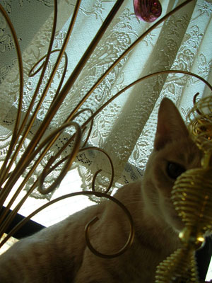 c0096342_1423680.jpg