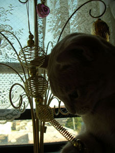 c0096342_1535599.jpg