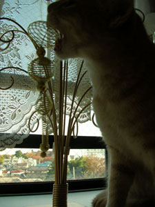 c0096342_15361844.jpg