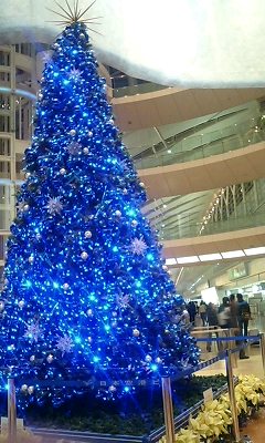 a0037043_125349.jpg