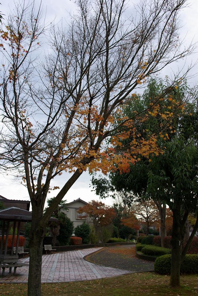 d0098645_11235360.jpg
