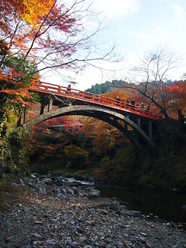 紅葉を求めて錦秋の京へvol.3 - 西明寺_c0057946_21371813.jpg