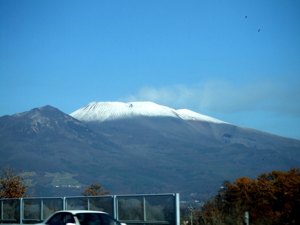 d0023346_12058.jpg