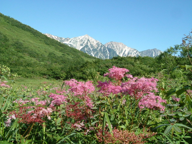 c0097754_23361615.jpg