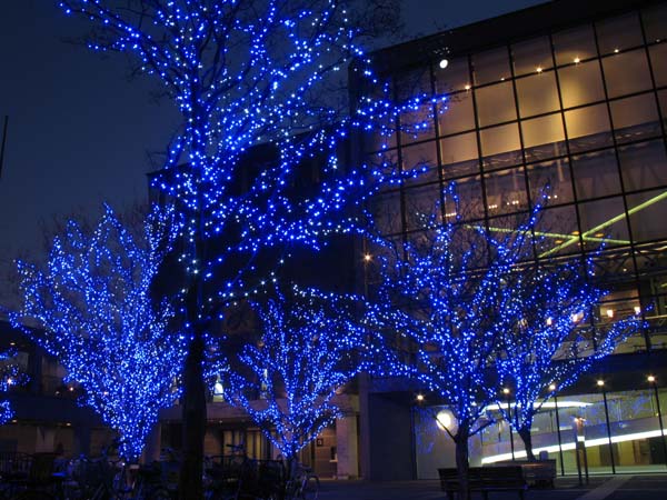 わが街　イルミ「青い木々」_a0052155_17223034.jpg