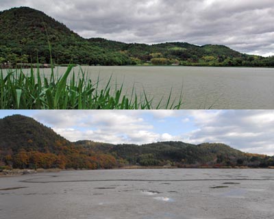 京都北嵯峨 広沢池～大沢池 : 自然の写真帖