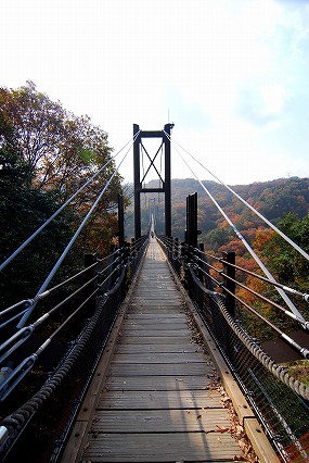 f0055257_1841157.jpg