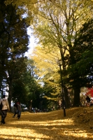 障害者 という分類分け_d0065558_21295676.jpg