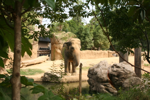 e0086860_2355261.jpg