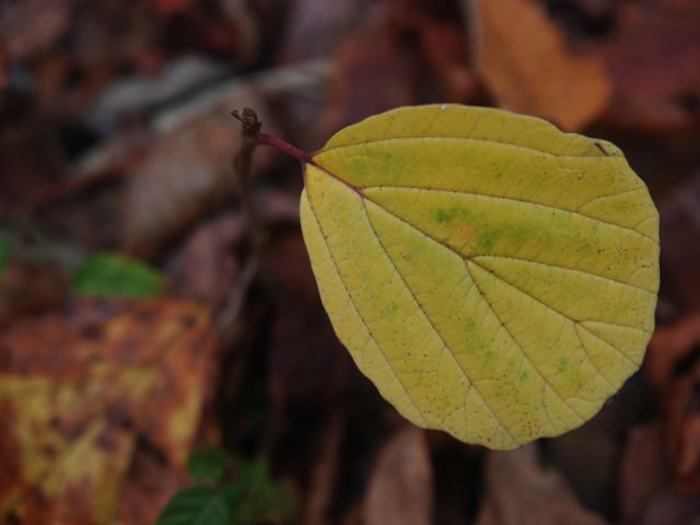 a0025576_21154328.jpg