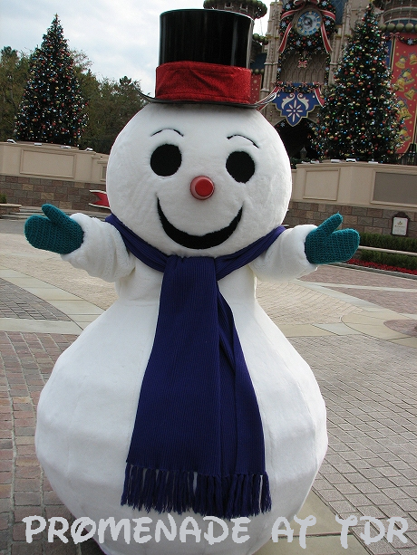 クローズします Promenade At Tdr 猫の散歩事情