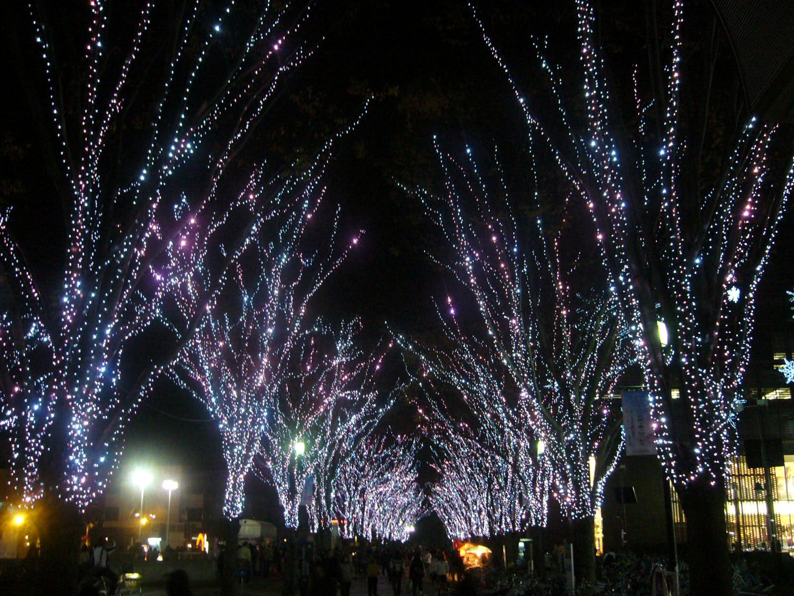 昨日たまたま_d0091994_19105748.jpg