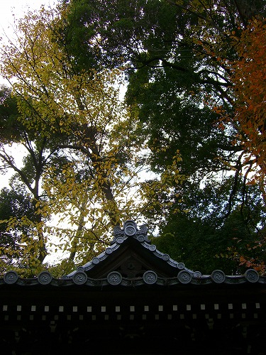 b0062495_18574568.jpg