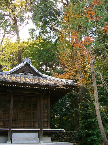 b0062495_18575867.jpg