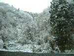 b0071405_105460.jpg