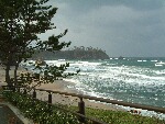 b0071405_946731.jpg
