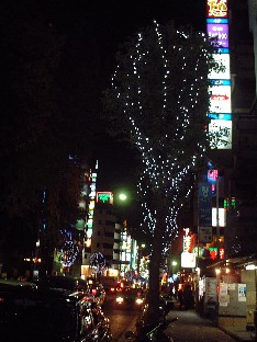 f0043911_1403114.jpg