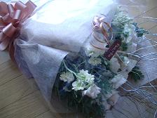 f0041115_23312662.jpg