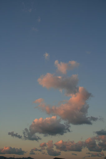 Pink Clouds_f0065016_2357349.jpg