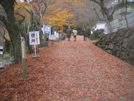 12/3　最後の紅葉見物_a0048823_2094293.jpg