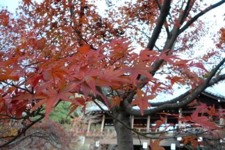 東福寺_b0066926_23365629.jpg