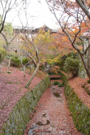 東福寺_b0066926_2336861.jpg