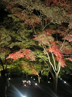 f0066926_01556.jpg