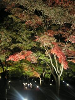 紅葉を見に行こう！　初バスツアー②_f0066926_01556.jpg